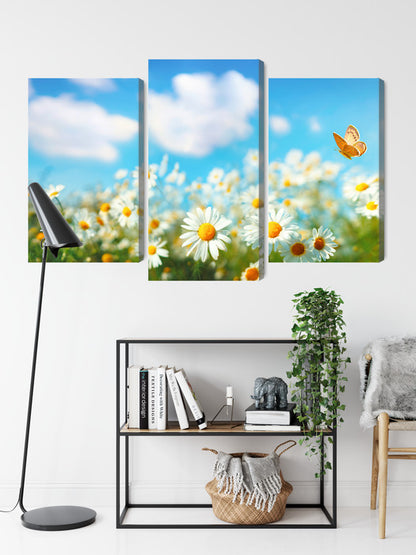 Obraz Wieloczęściowy Pole Stokrotek – sielski krajobraz do wnętrz skandynawskich, naturalnych i prowansalskich – widok 8