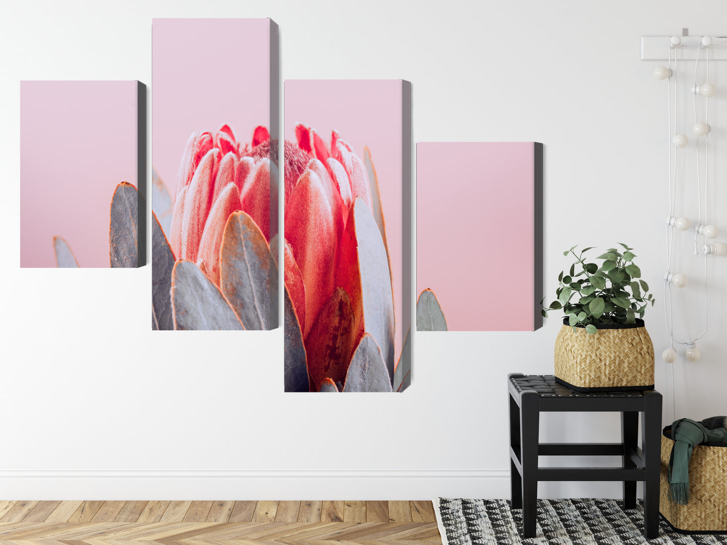 Obraz Wieloczęściowy Królewska Protea – botaniczna elegancja do wnętrz nowoczesnych i boho glam – widok 7