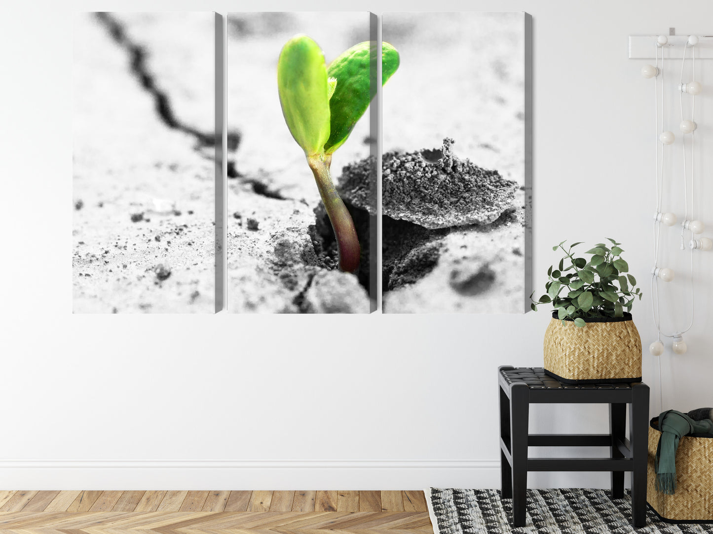 Obraz Wieloczęściowy Kiełkowanie Roślin – organiczna harmonia do wnętrz skandynawskich i biophilic. – widok 7