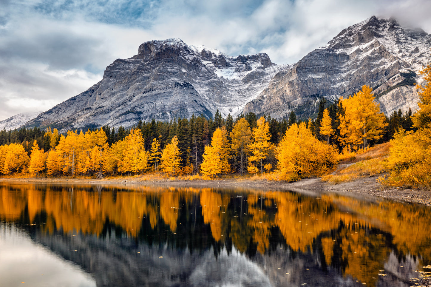Obraz Wieloczęściowy Park Banff – górski krajobraz do wnętrz skandynawskich i nowoczesnych 180x120