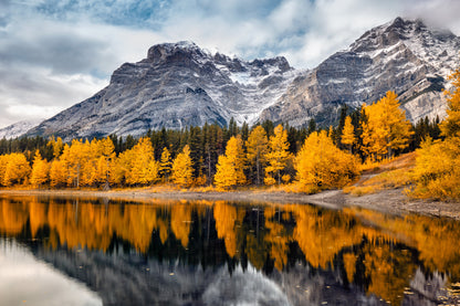 Obraz Wieloczęściowy Park Banff – górski krajobraz do wnętrz skandynawskich i nowoczesnych 180x120