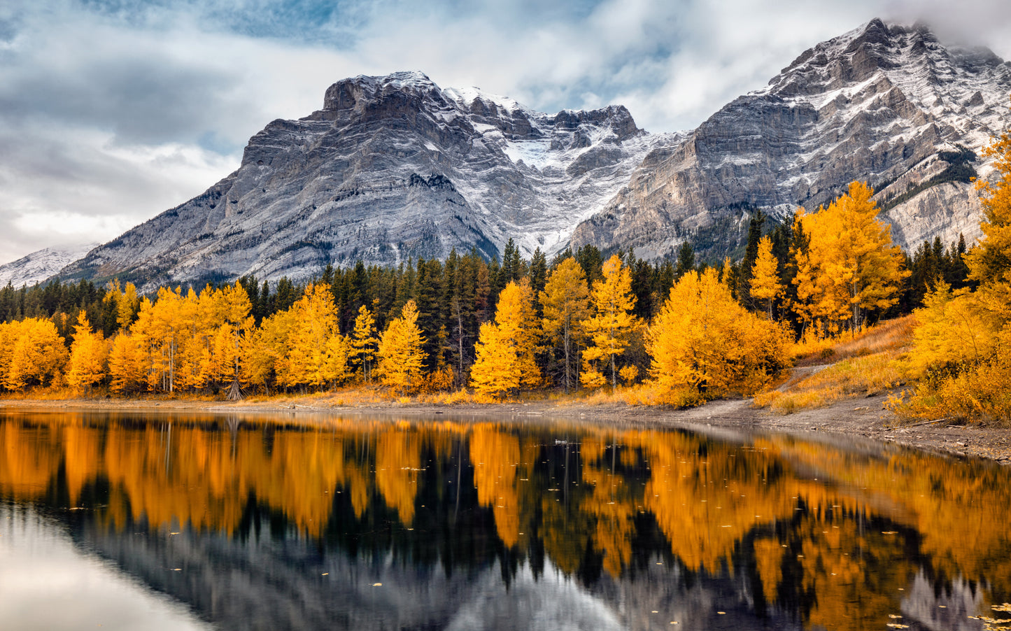 Obraz Wieloczęściowy Park Narodowy Banff – majestatyczny krajobraz do wnętrz skandynawskich i nowoczesnych 240x150