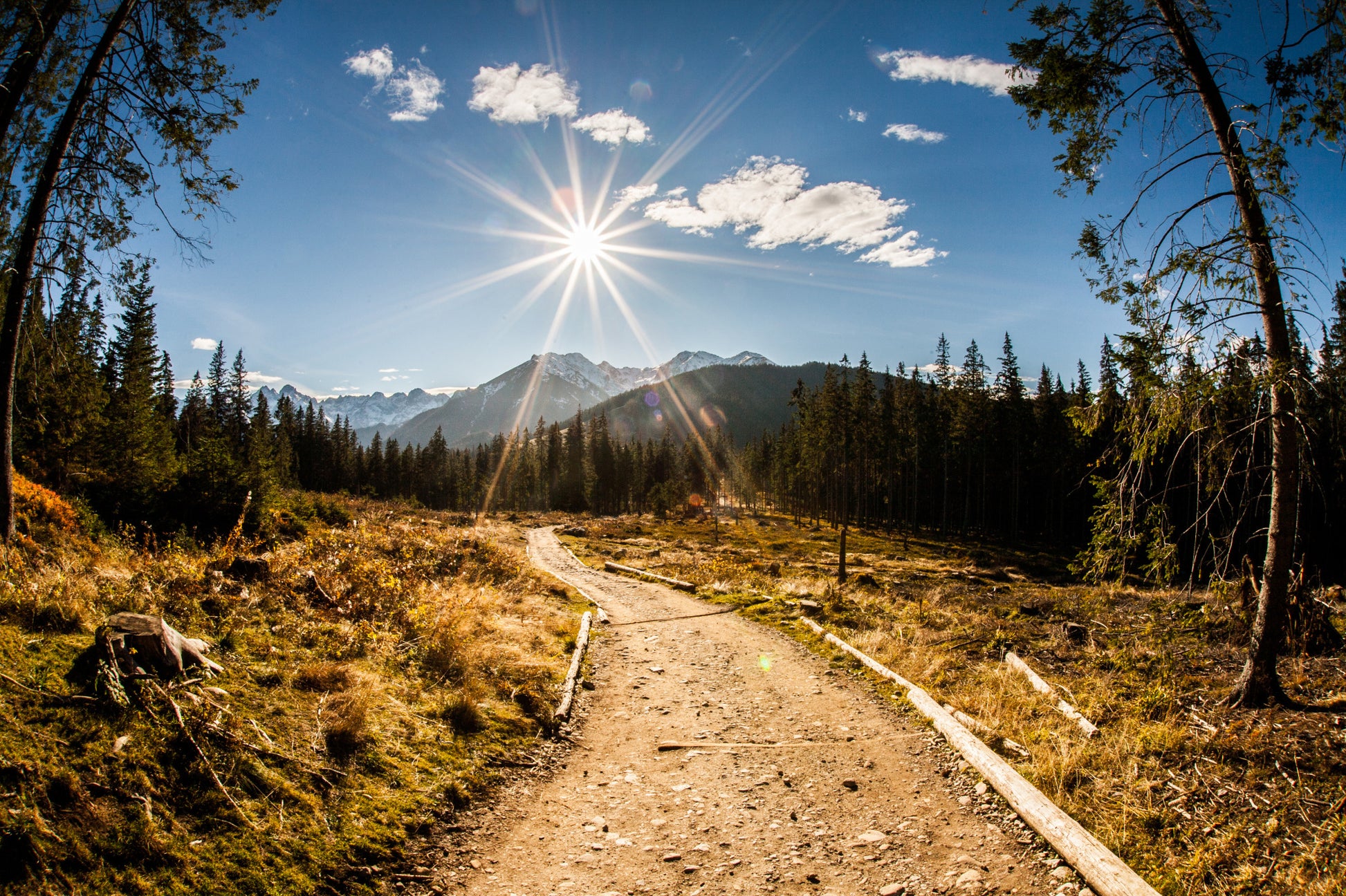 Obraz Wieloczęściowy Tatry Latem – pogodny pejzaż górski do wnętrz naturalnych i rustykalnych 180x120