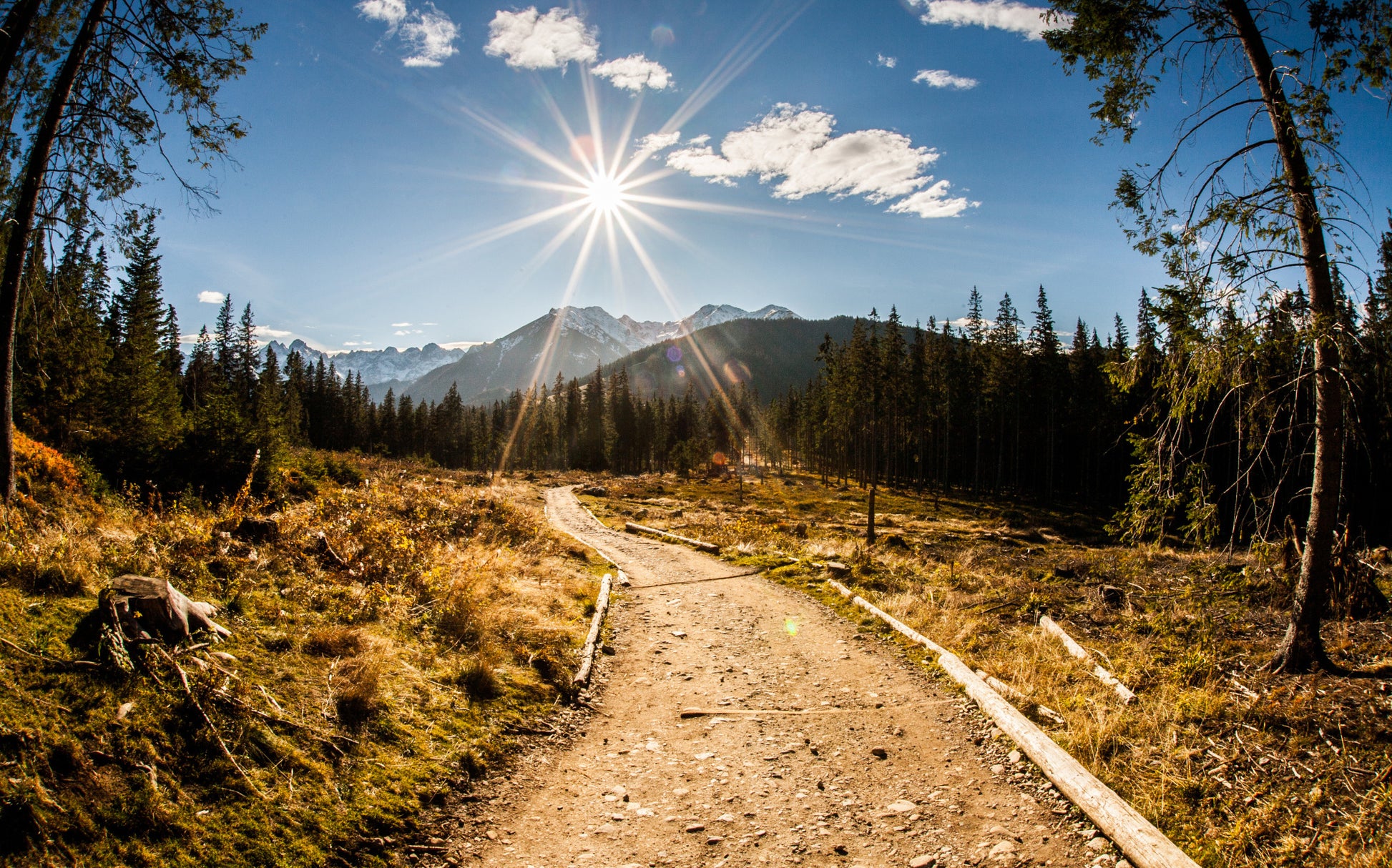 Obraz Wieloczęściowy Tatry Słoneczny Dzień – pejzaż górski do wnętrz naturalnych i nowoczesnych 240x150
