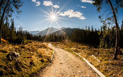 Obraz Wieloczęściowy Tatry Słoneczny Dzień – pejzaż górski do wnętrz naturalnych i nowoczesnych 240x150