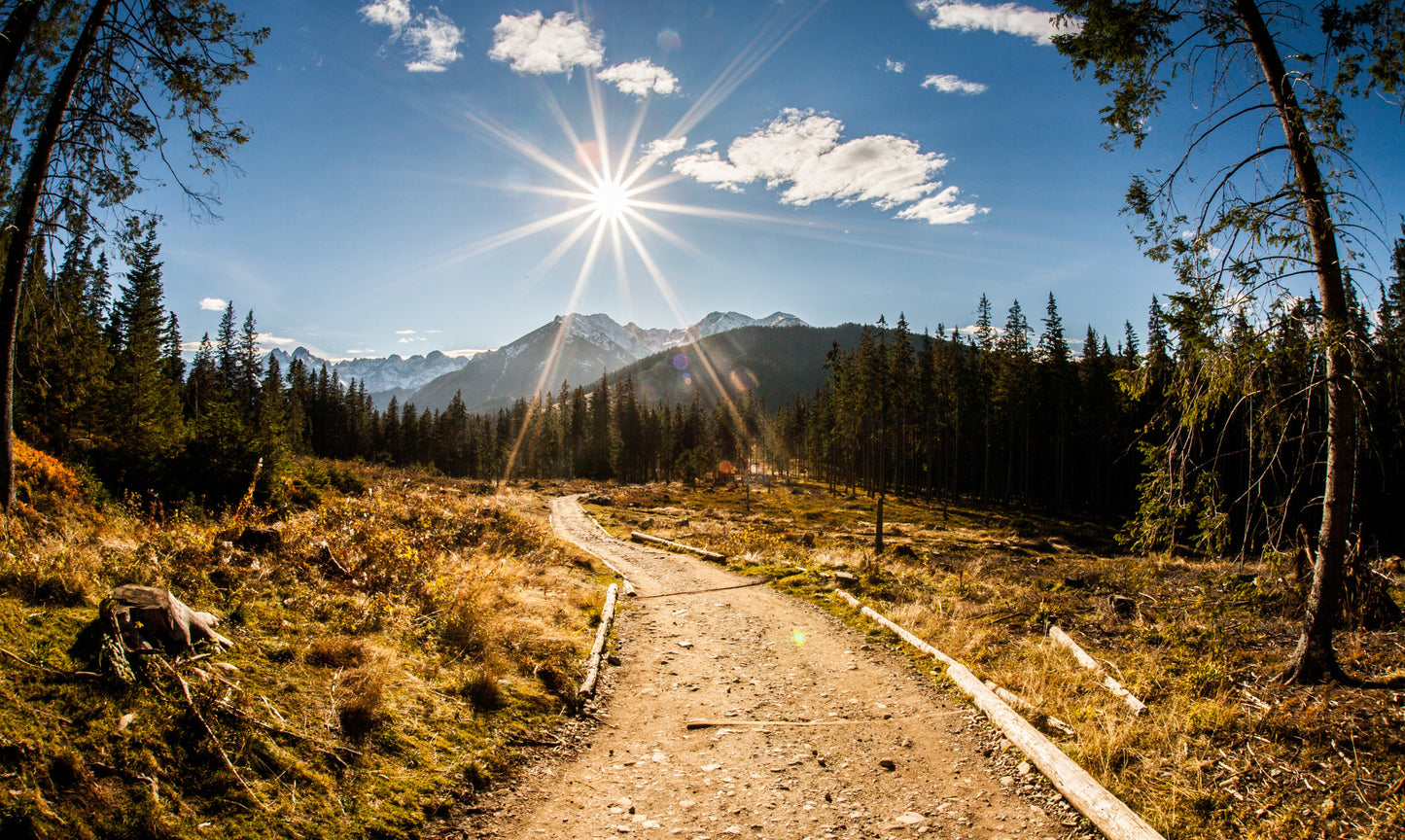 Obraz Wieloczęściowy Tatry – słoneczny krajobraz górski do wnętrz skandynawskich i nowoczesnych 250x150