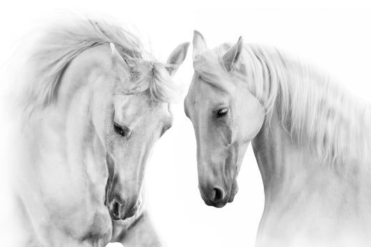 Obraz Wieloczęściowy Dwa Konie – Majestatyczna Elegancja do Wnętrz Nowoczesnych, Minimalistycznych i Glamour 180x120