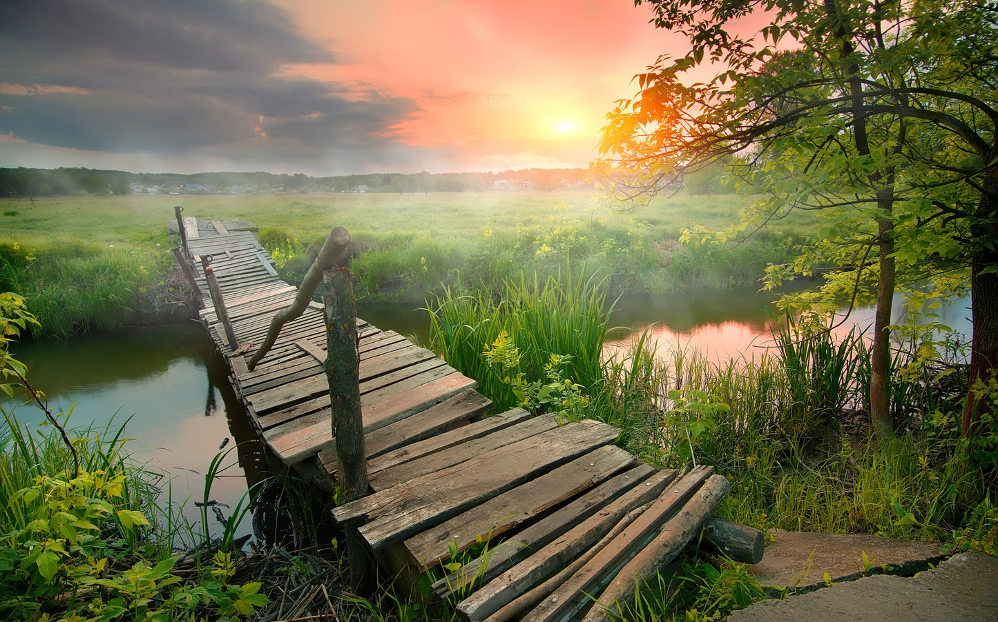 Obraz Wieloczęściowy Łąka O Świcie – sielska panorama do wnętrz skandynawskich i boho 240x150