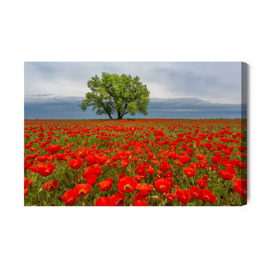 Obraz na płótnie drzewo z makami – nowoczesna dekoracja do salonu - Artavia