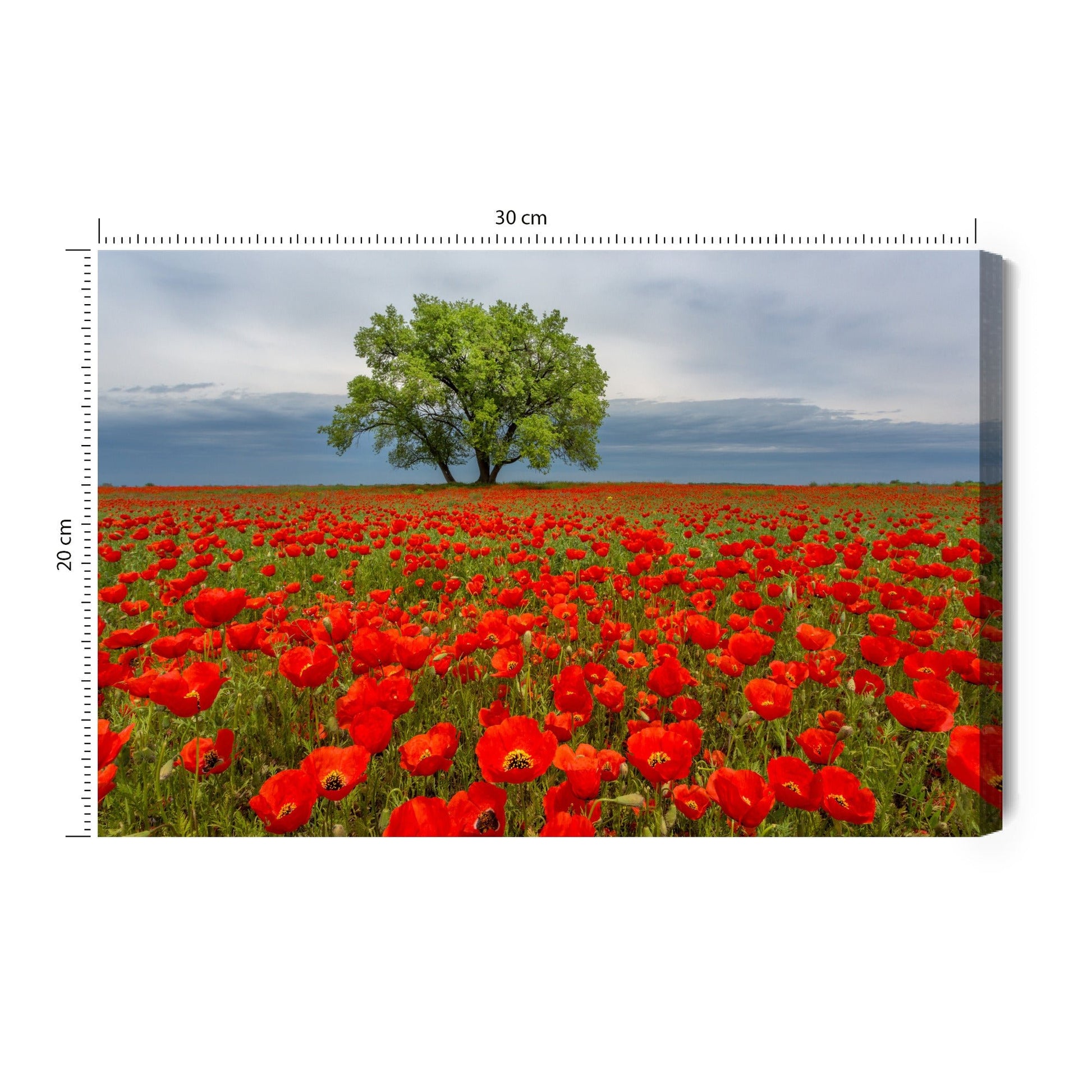 Obraz na płótnie drzewo z makami – nowoczesna dekoracja do salonu - Artavia