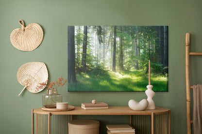 Obraz Na Płótnie Las - Artavia