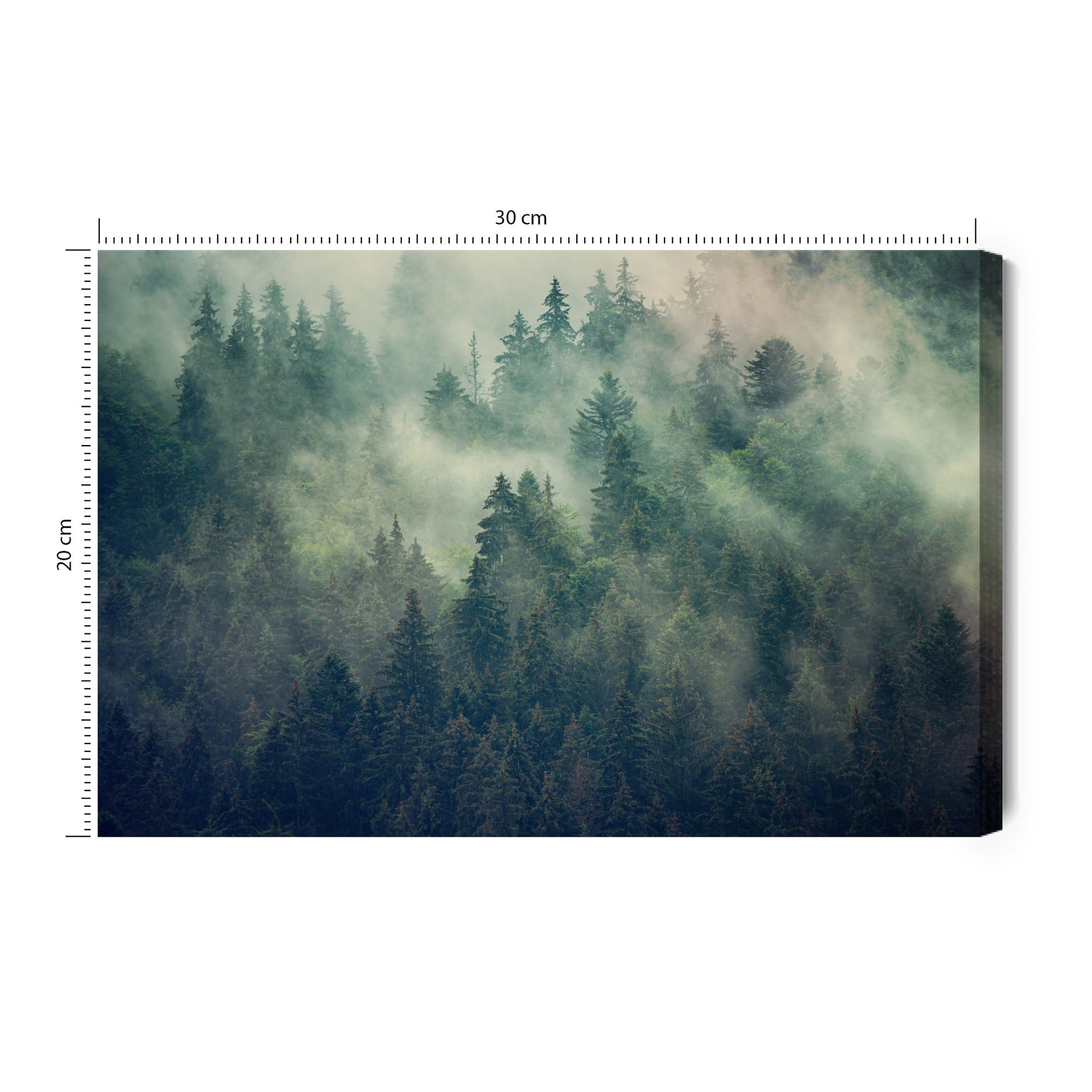 Obraz Na Płótnie Las We Mgle - Artavia